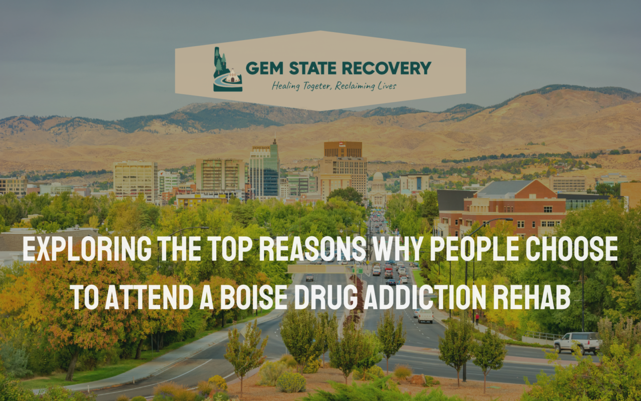 Boise Drug Addiction Rehabs