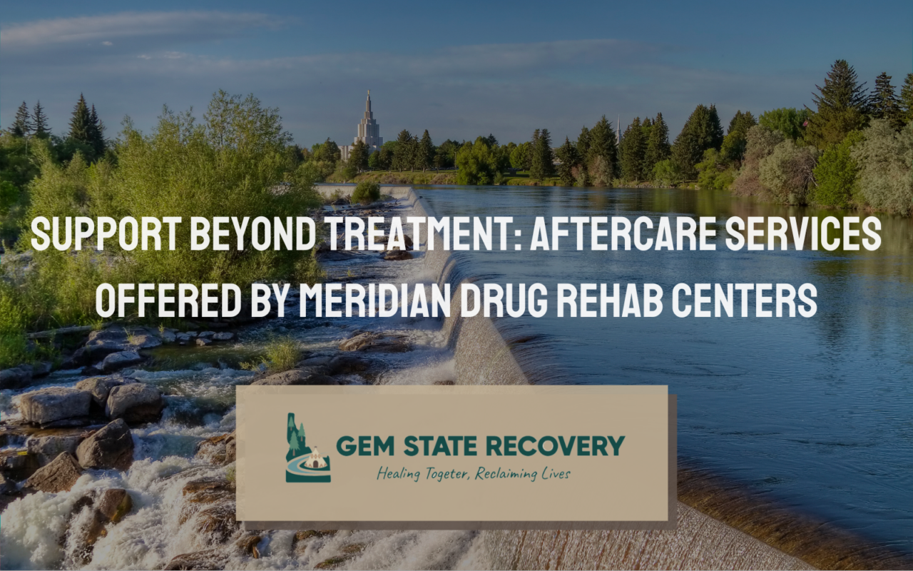 Meridian Drug Rehab Centers