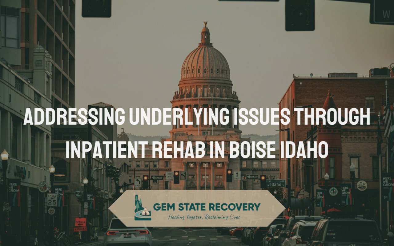 inpatient rehabs in Boise