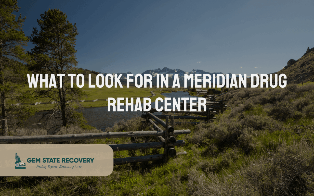 meridian drug rehab center