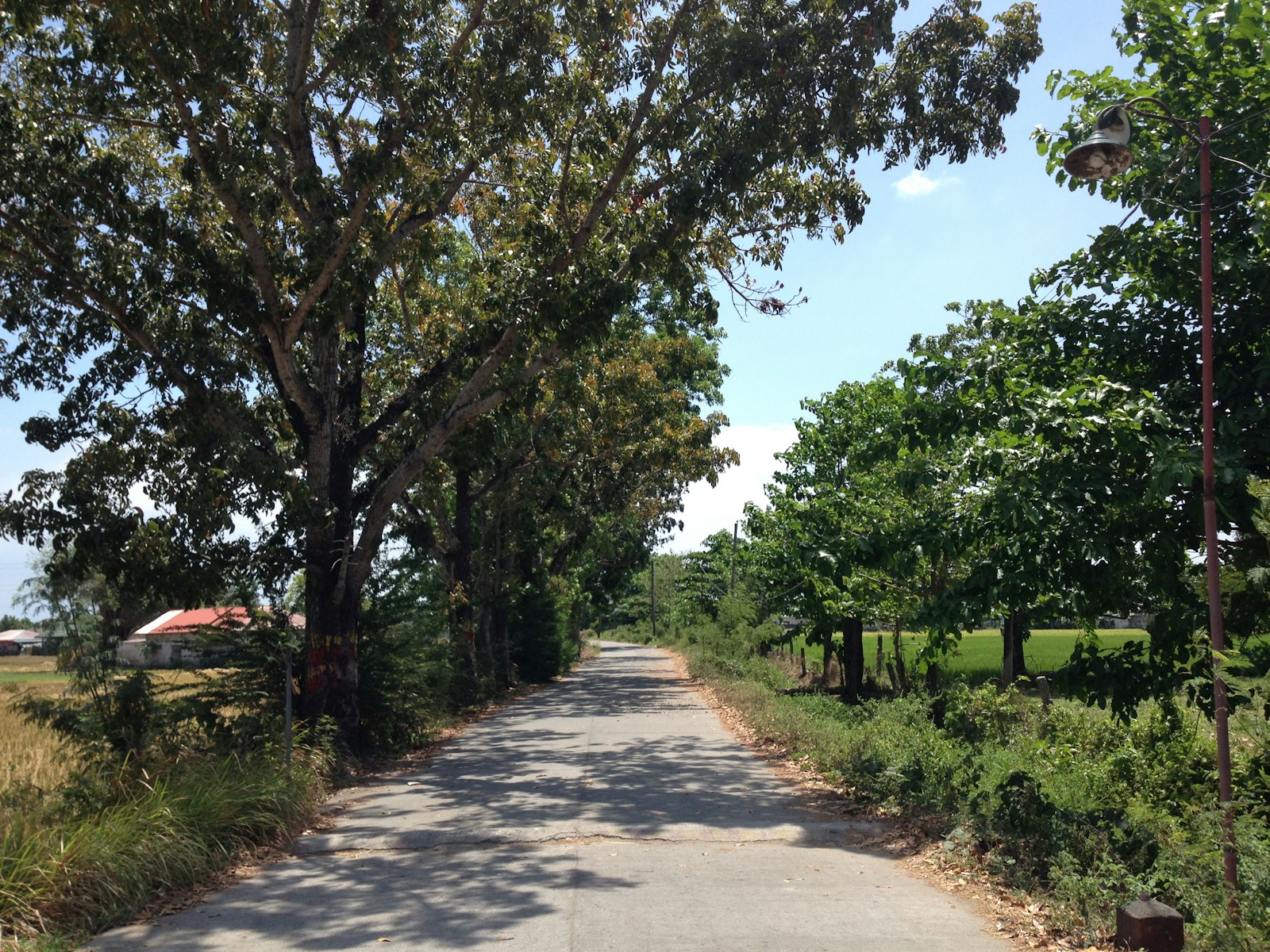 drug rehab coeur d'alene id