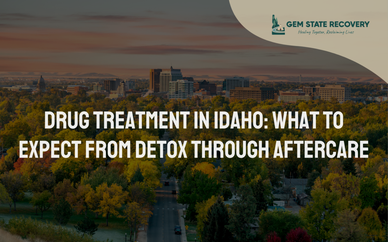 Drug Treatment in Idaho